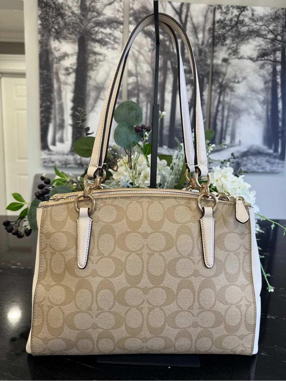 🤎Coach Christie Carryall Khaki Chalk Satchel Crossbody